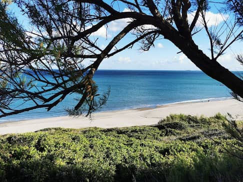 Slider image (6) Sea Recovery